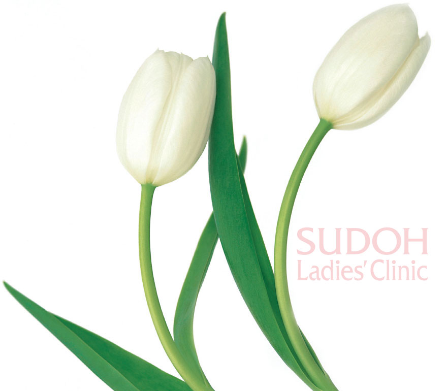 SUDOH Ladies' Clinic